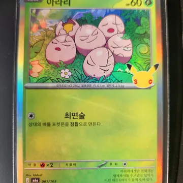 판매자가 찍은 아라리 카드 사진