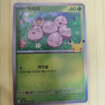 판매자가 찍은 아라리 카드 사진