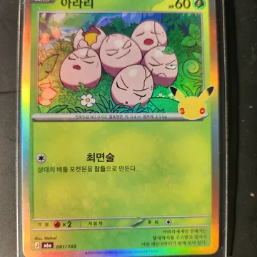 판매자가 찍은 아라리 카드 사진