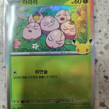 판매자가 찍은 아라리 카드 사진