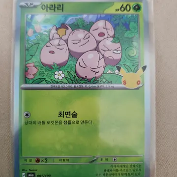 판매자가 찍은 아라리 카드 사진