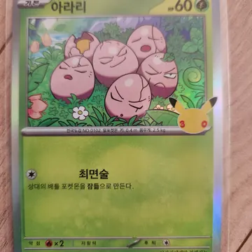 판매자가 찍은 아라리 카드 사진